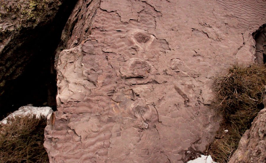 huellas de dinosaurios en el valle Las Arenas